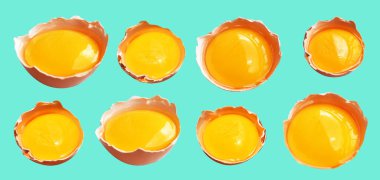 Kırpma yolu olan yumurta sarıları, nane arkaplanda gölge yok, gerçek kahverengi yarım tavuk yumurtası.