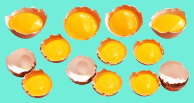 Kırpma yolu olan yumurta sarıları, nane arkaplanda gölge yok, gerçek kahverengi yarım tavuk yumurtası.