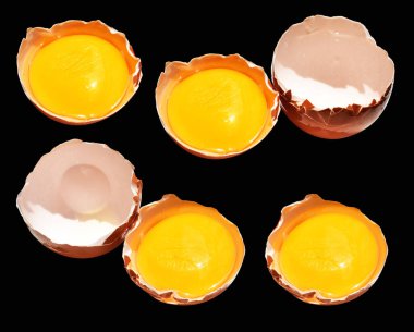 Kırpma yolu olan yumurta sarıları, siyah arka planda gölge yok, gerçek kahverengi yarım tavuk yumurtası.