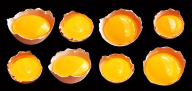 Kırpma yolu olan yumurta sarıları, siyah arka planda gölge yok, gerçek kahverengi yarım tavuk yumurtası.