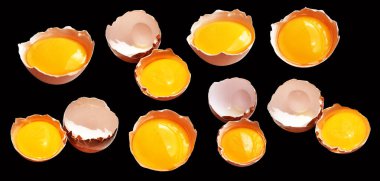 Kırpma yolu olan yumurta sarıları, siyah arka planda gölge yok, gerçek kahverengi yarım tavuk yumurtası.