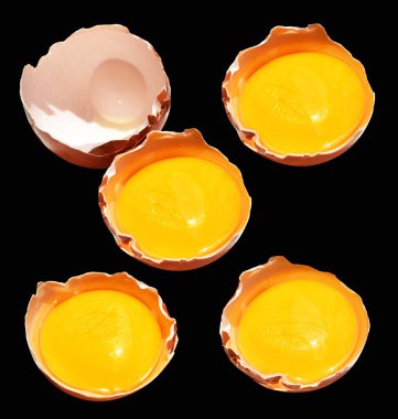 Kırpma yolu olan yumurta sarıları, siyah arka planda gölge yok, gerçek kahverengi yarım tavuk yumurtası.