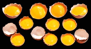 Kırpma yolu olan yumurta sarıları, siyah arka planda gölge yok, gerçek kahverengi yarım tavuk yumurtası.