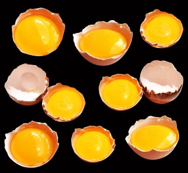 Kırpma yolu olan yumurta sarıları, siyah arka planda gölge yok, gerçek kahverengi yarım tavuk yumurtası.