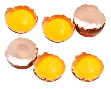 Kesme yolu olan yumurta sarıları, beyaz arka planda gölge yok, gerçek kahverengi yarım tavuk yumurtası.