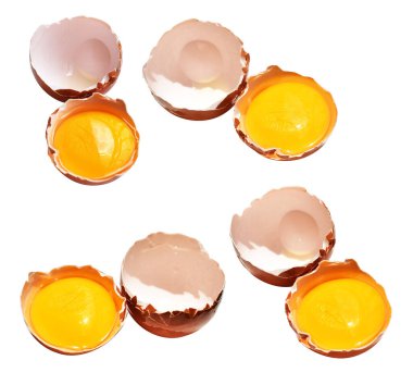 Kesme yolu olan yumurta sarıları, beyaz arka planda gölge yok, gerçek kahverengi yarım tavuk yumurtası.