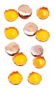 Kesme yolu olan yumurta sarıları, beyaz arka planda gölge yok, gerçek kahverengi yarım tavuk yumurtası.