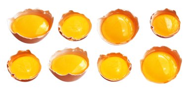 Kesme yolu olan yumurta sarıları, beyaz arka planda gölge yok, gerçek kahverengi yarım tavuk yumurtası.