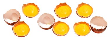 Kesme yolu olan yumurta sarıları, beyaz arka planda gölge yok, gerçek kahverengi yarım tavuk yumurtası.