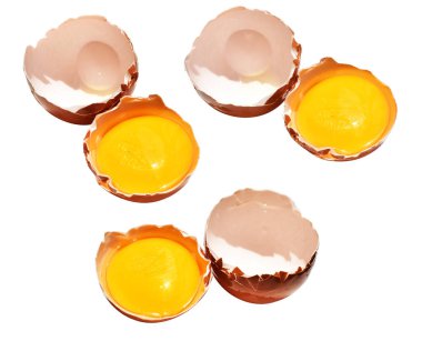 Kesme yolu olan yumurta sarıları, beyaz arka planda gölge yok, gerçek kahverengi yarım tavuk yumurtası.