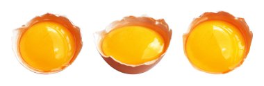 Kesme yolu olan yumurta sarıları, beyaz arka planda gölge yok, gerçek kahverengi yarım tavuk yumurtası.