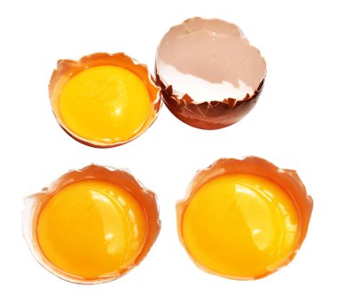 Kesme yolu olan yumurta sarıları, beyaz arka planda gölge yok, gerçek kahverengi yarım tavuk yumurtası.