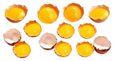 Kesme yolu olan yumurta sarıları, beyaz arka planda gölge yok, gerçek kahverengi yarım tavuk yumurtası.