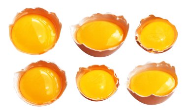 Kesme yolu olan yumurta sarıları, beyaz arka planda gölge yok, gerçek kahverengi yarım tavuk yumurtası.