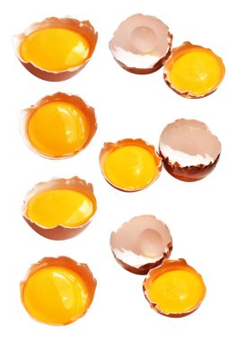 Kesme yolu olan yumurta sarıları, beyaz arka planda gölge yok, gerçek kahverengi yarım tavuk yumurtası.