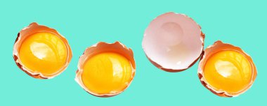 Kırpma yolu olan yumurta sarıları, nane arkaplanda gölge yok, gerçek kahverengi yarım tavuk yumurtası.