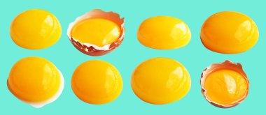 Kırpma yolu olan yumurta sarıları, nane arkaplanda gölge yok, gerçek kahverengi yarım tavuk yumurtası.