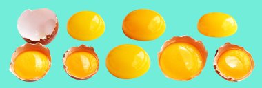 Kırpma yolu olan yumurta sarıları, nane arkaplanda gölge yok, gerçek kahverengi yarım tavuk yumurtası.