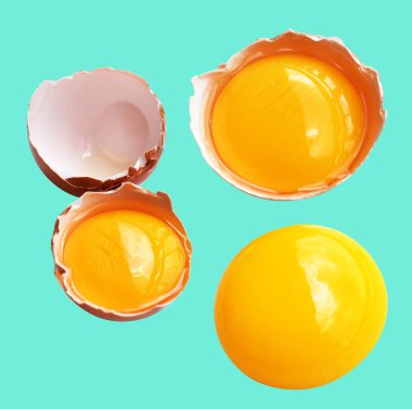 Kırpma yolu olan yumurta sarıları, nane arkaplanda gölge yok, gerçek kahverengi yarım tavuk yumurtası.