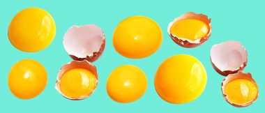 Kırpma yolu olan yumurta sarıları, nane arkaplanda gölge yok, gerçek kahverengi yarım tavuk yumurtası.