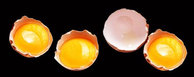 Kırpma yolu olan yumurta sarıları, siyah arka planda gölge yok, gerçek kahverengi yarım tavuk yumurtası.