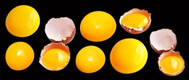 Kırpma yolu olan yumurta sarıları, siyah arka planda gölge yok, gerçek kahverengi yarım tavuk yumurtası.