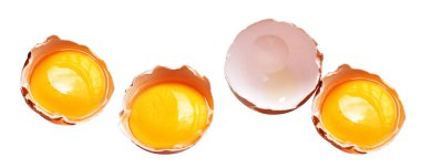 Kesme yolu olan yumurta sarıları, beyaz arka planda gölge yok, gerçek kahverengi yarım tavuk yumurtası.