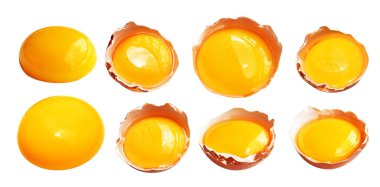 Kesme yolu olan yumurta sarıları, beyaz arka planda gölge yok, gerçek kahverengi yarım tavuk yumurtası.