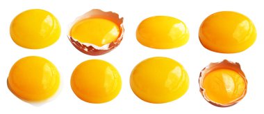 Kesme yolu olan yumurta sarıları, beyaz arka planda gölge yok, gerçek kahverengi yarım tavuk yumurtası.