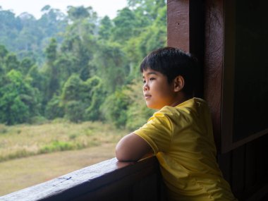 boy looking out window looking at the green forest