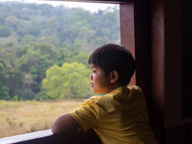 boy looking out window looking at the green forest