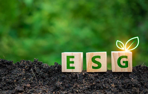 Esg Konzept Für Umwelt Gesellschaft Und Governance Nachhaltig Unternehmen Verantwortlich — Stockfoto