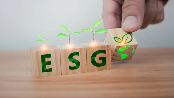 Esg Concept Environment Society Governance Sustainable 负责任的企业环境 — 图库照片