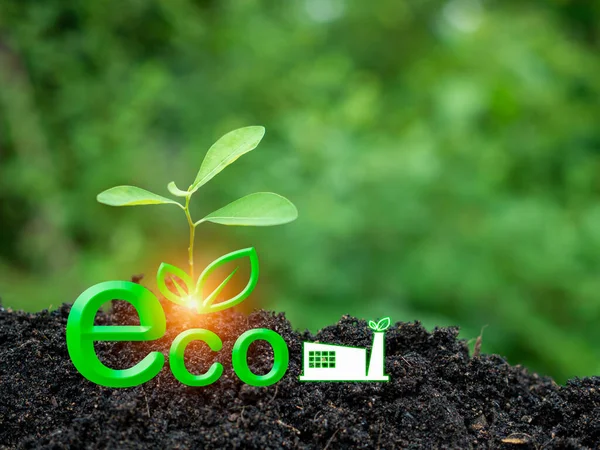 Concept Doing Business Environment Creating Clean Friendly Environment Emitting Carbon — Stock Photo, Image