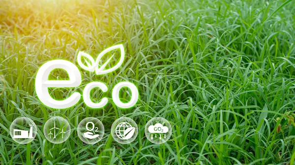 Öko Konzept Für Umwelt Gesellschaft Und Governance Nachhaltig Unternehmen Verantwortlich — Stockfoto