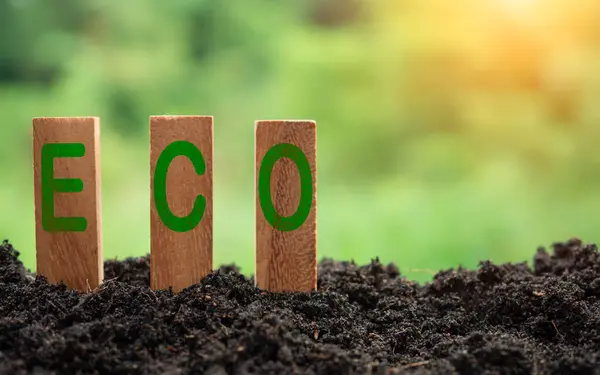 Träpinnar Staplade Med Eco Koncept Bokstäver Naturen Bakgrund Begreppet Framtida — Stockfoto