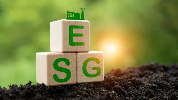 Esg Concept Environment Society Governance Sustainable 负责任的企业环境 — 图库照片