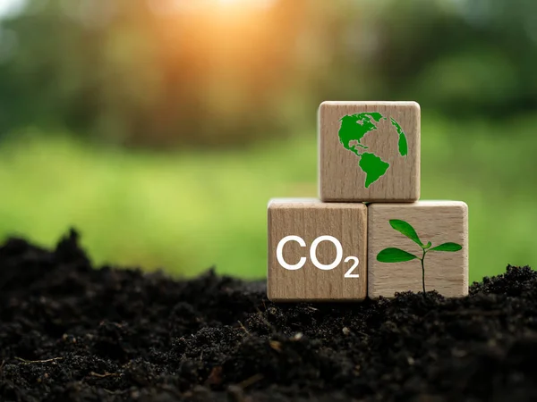 Co2 Emissiereductieconcept Schoon Vriendelijk Milieu Zonder Kooldioxide Emissies Bomen Planten — Stockfoto