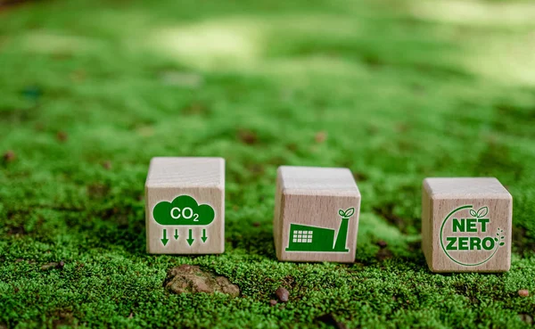 Co2 Reduktionskonzept Saubere Und Freundliche Umwelt Ohne Kohlendioxidemissionen Baumpflanzung Zur — Stockfoto