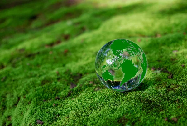 Crystal Boll Mossa Grön Skog Miljökoncept Ekologi Och Hållbar Miljö — Stockfoto