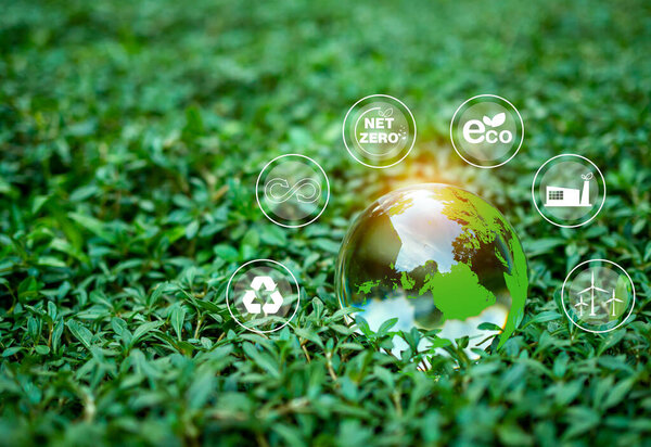 Концепция сокращения выбросов CO2, чистая и дружественная окружающая среда без выбросов углекислого газа. Посадка деревьев для сокращения выбросов CO2, концепция охраны окружающей среды.