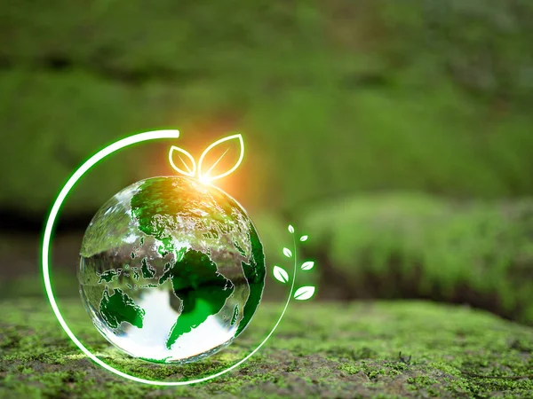 Crystal Boll Mossa Grön Skog Miljökoncept Ekologi Och Hållbar Miljö — Stockfoto