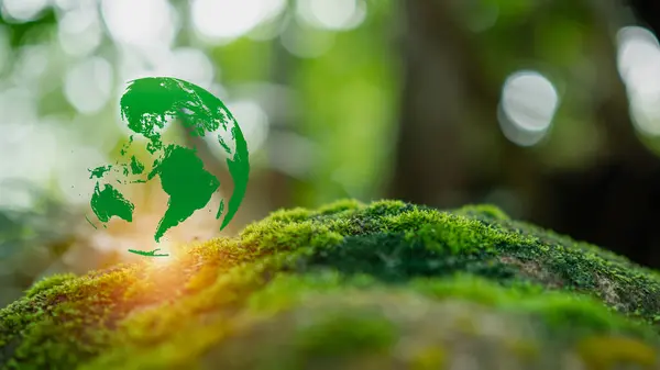 Crystal ball on moss in green forest. Environment concept Ecology and Sustainable Environment of the World. Earth day concept.