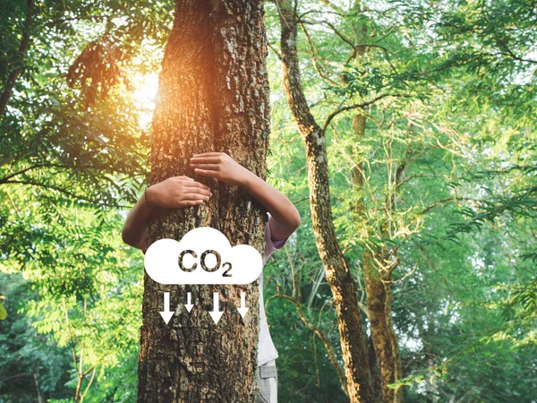 Human Hands Hugging Tree Love Representing Helping Preserve Environment Planting — Stock Photo, Image