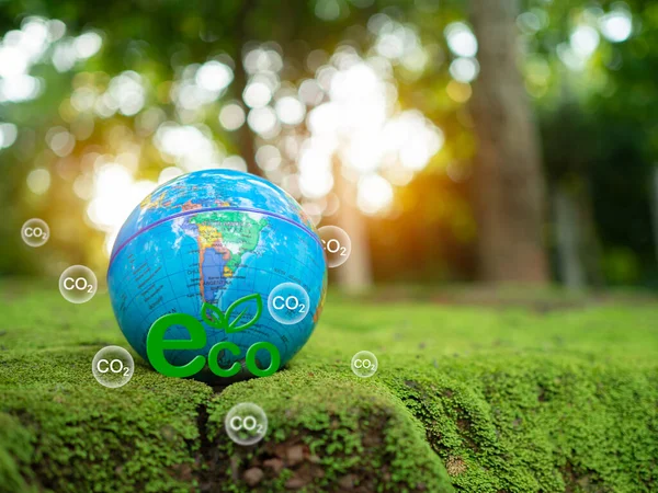自然を背景にしたEcoコンセプト 環境のための将来のビジネス成長の概念 再利用と再生可能な資源と持続可能な環境のためのデザイン — ストック写真