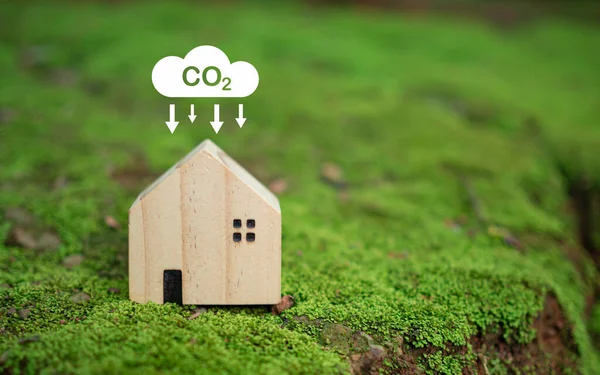 Co2 Emissiereductieconcept Schoon Vriendelijk Milieu Zonder Kooldioxide Emissies Bomen Planten — Stockfoto