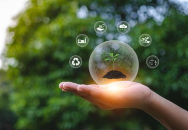 Karbondioksit salınımı olmayan temiz ve dost bir ortam. Karbondioksit salınımını azaltmak için ağaç dikmek, çevre koruma kavramı.