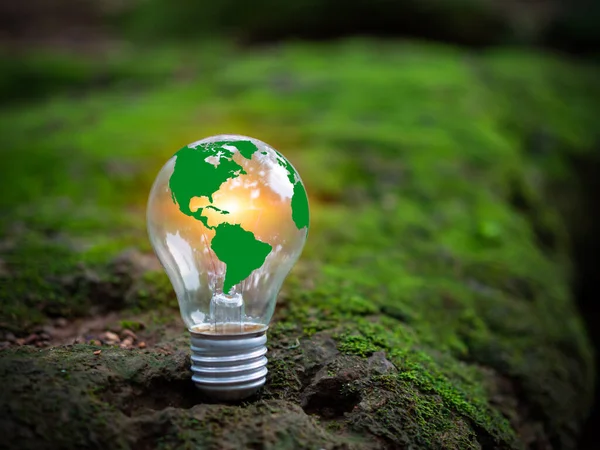 Concept of renewable energy, environmental protection, and sustainable renewable energy sources. Green world map on a light bulb set on a background with green moss. Green energy.