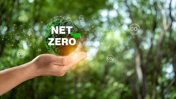 Hand of human holding earth with Net Zero icon, carbon neutral and net zero concept for net zero greenhouse gas emissions target, Climate neutral long term strategy, natural background.