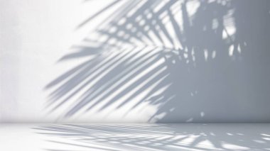 Gölge palmiye yapraklı çimento dokusu, boş gri beton duvar zemini ve duvar odası boş alanda sunulan ürün ve metin, lüks fon, ilkbahar ve yaz.